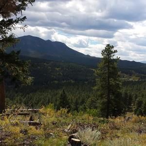 Meet your Posher, Malia